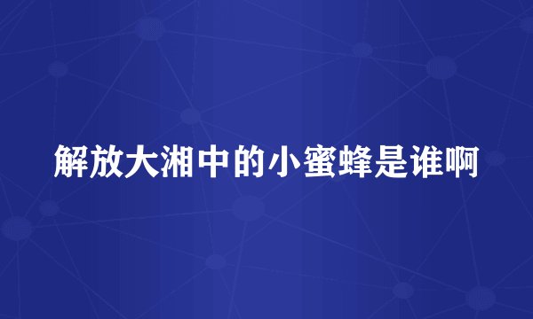 解放大湘中的小蜜蜂是谁啊