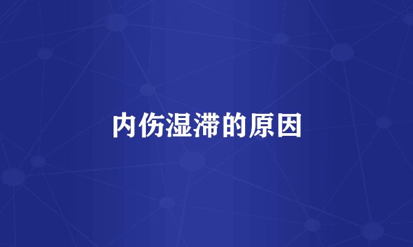 内伤湿滞的原因