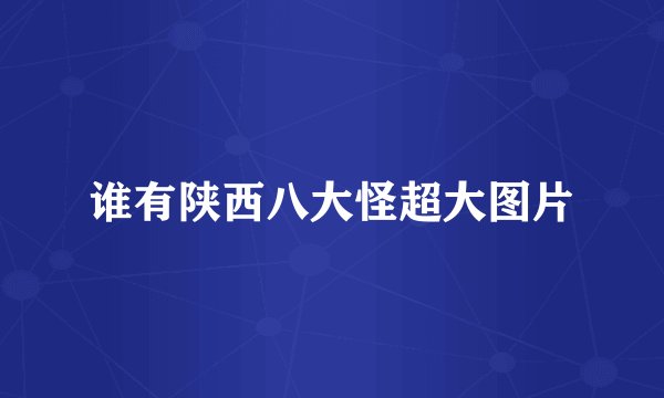 谁有陕西八大怪超大图片