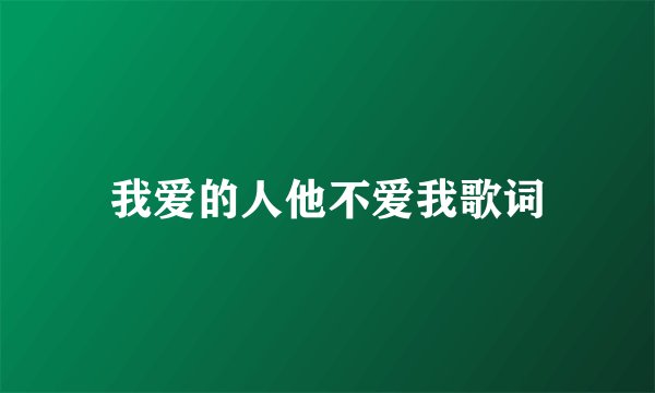 我爱的人他不爱我歌词
