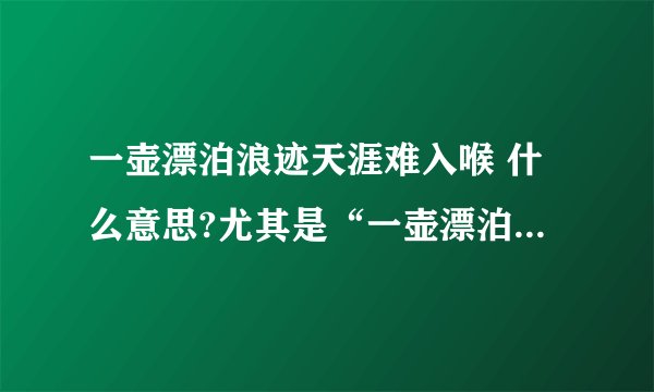 一壶漂泊浪迹天涯难入喉 什么意思?尤其是“一壶漂泊”这四个字，是什么意思？