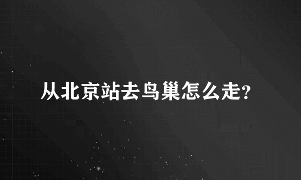 从北京站去鸟巢怎么走？