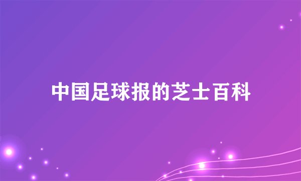 中国足球报的芝士百科