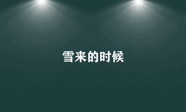 雪来的时候