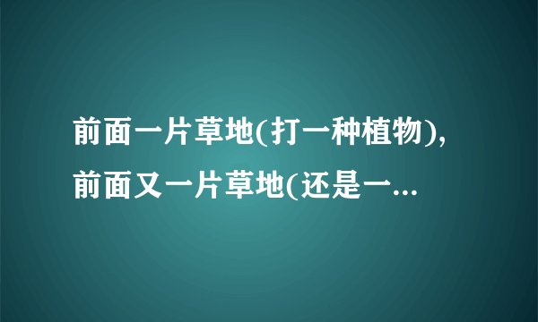 前面一片草地(打一种植物),前面又一片草地(还是一种植物)!