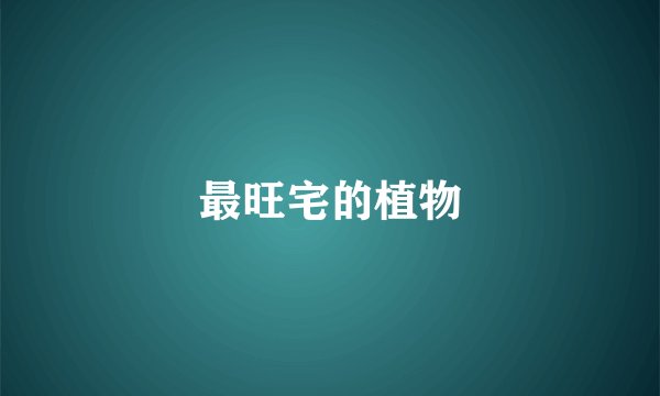 最旺宅的植物