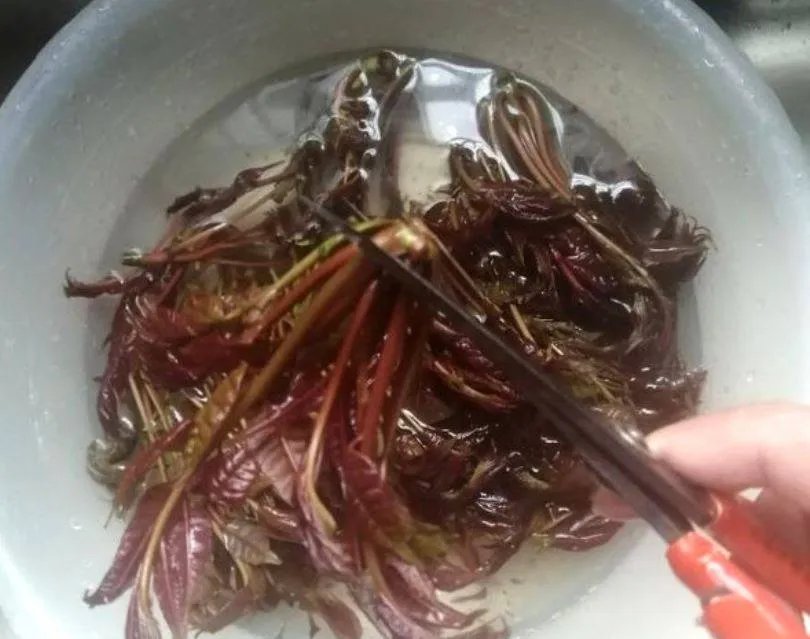 香椿芽怎么吃