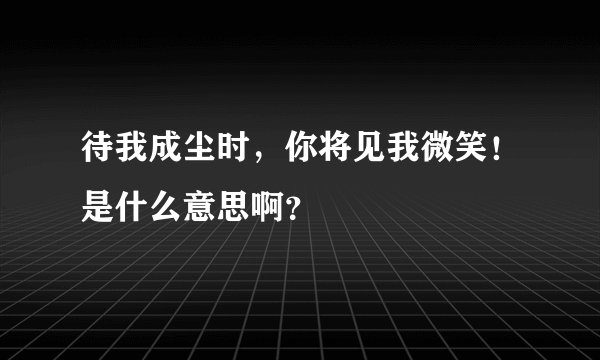 待我成尘时,你将见我微笑!是什么意思啊?