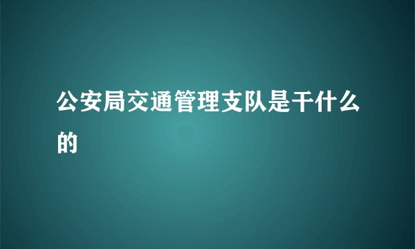 公安局交通管理支队是干什么的