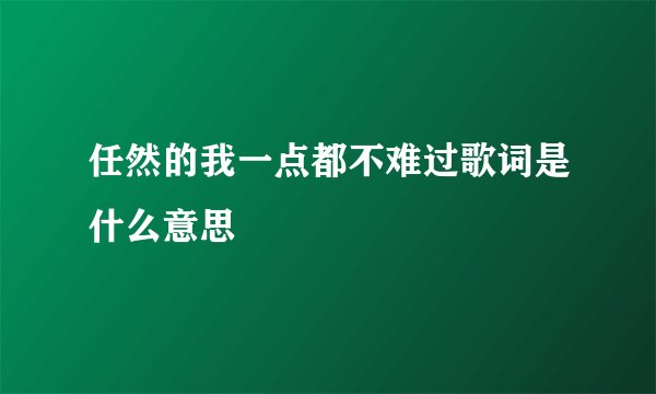 任然的我一点都不难过歌词是什么意思