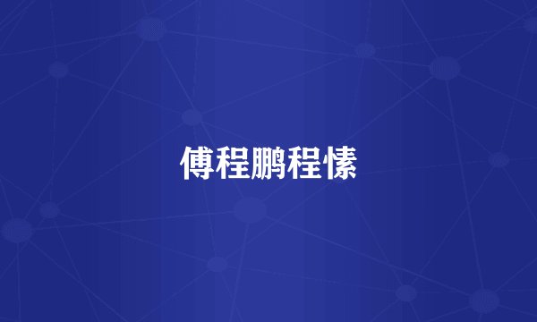 傅程鹏程愫