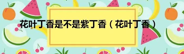 花叶丁香是不是紫丁香(花叶丁香)