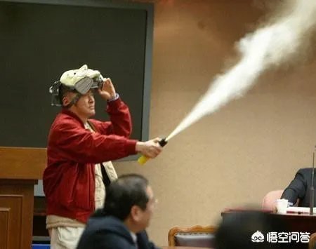 李敖告小s