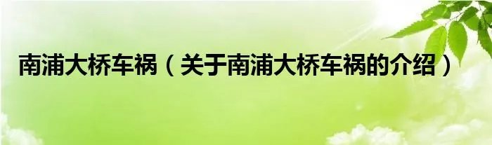南浦大桥车祸（关于南浦大桥车祸的介绍）