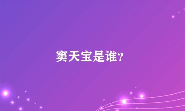 窦天宝是谁？