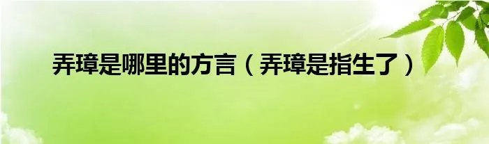 弄璋是哪里的方言（弄璋是指生了）