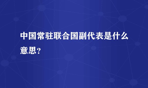 中国常驻联合国副代表是什么意思？