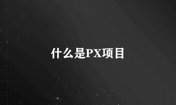 什么是PX项目