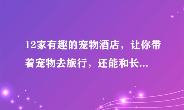 12家有趣的宠物酒店，让你带着宠物去旅行，还能和长颈鹿一起用餐！