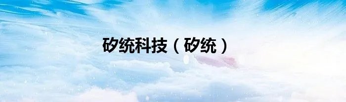 矽统科技（矽统）