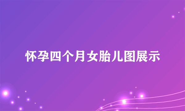 怀孕四个月女胎儿图展示