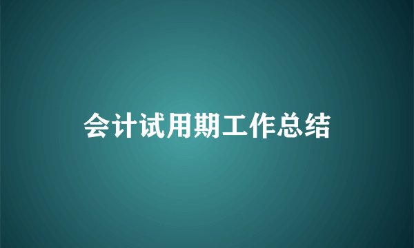 会计试用期工作总结