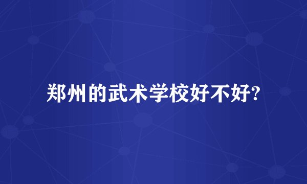 郑州的武术学校好不好?