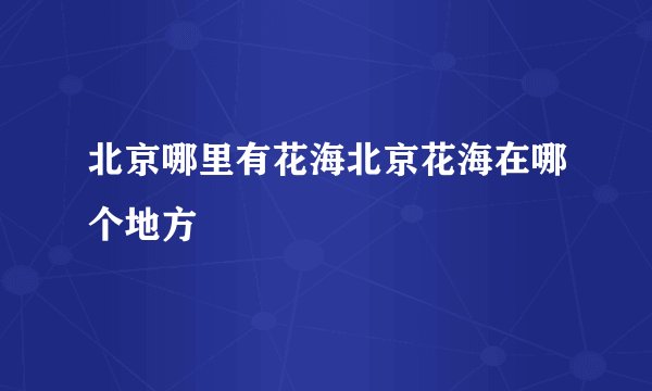 北京哪里有花海北京花海在哪个地方
