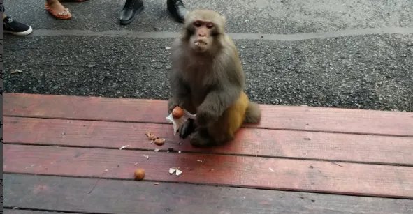鼓浪屿申遗成功,52个中国世遗景色,你去过哪个?