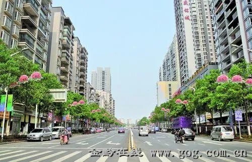 你知道中国百里杜鹃花都在哪里吗?