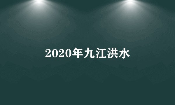 2020年九江洪水