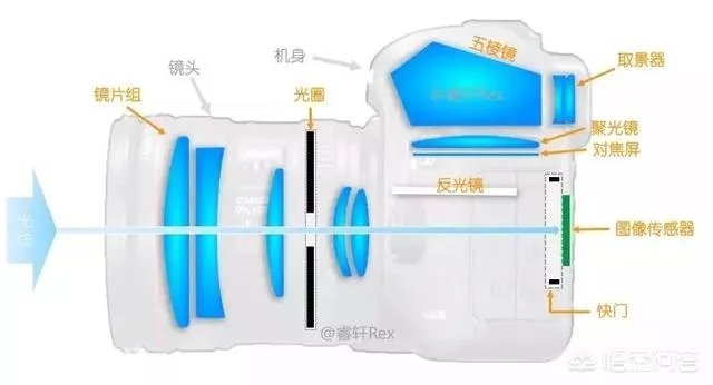 无反，微单，单反有什么区别，如果购买应该买哪种呢？