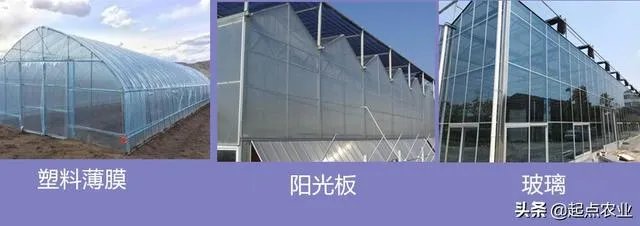 蔬菜大棚和蔬菜温室的区别是什么?