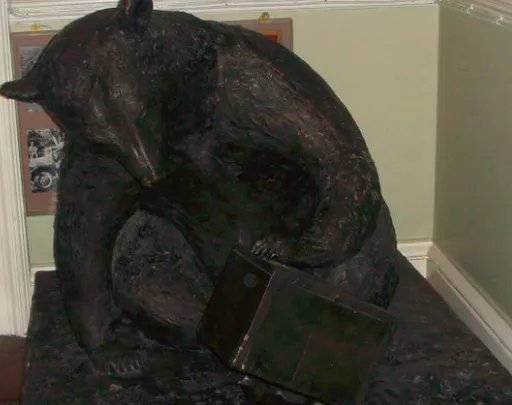 战斗熊wojtek