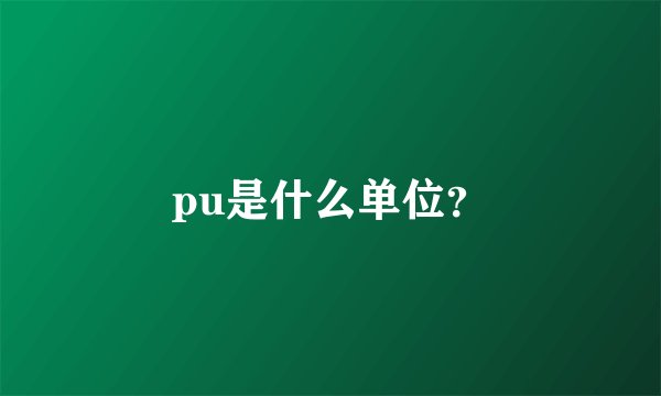 pu是什么单位？
