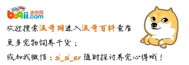 冠生园董事长旅游时被猴子蹬石砸死,应该如何问责和赔偿?