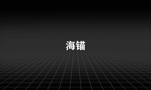 海锚