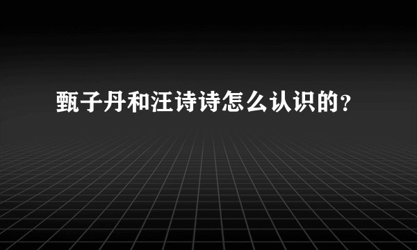 甄子丹和汪诗诗怎么认识的？