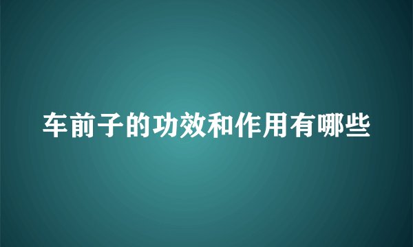 车前子的功效和作用有哪些