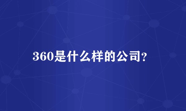 360是什么样的公司？