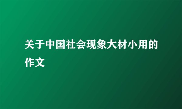 关于中国社会现象大材小用的作文