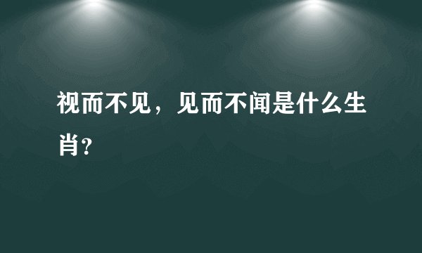 视而不见，见而不闻是什么生肖？