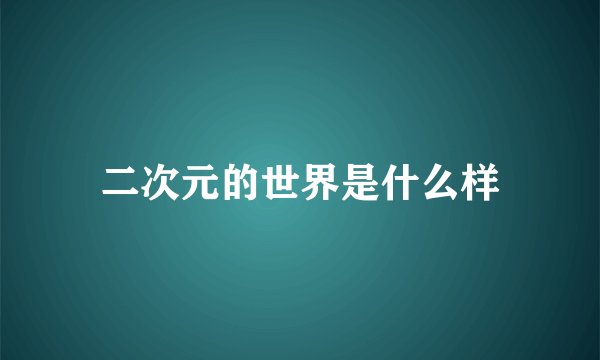 二次元的世界是什么样