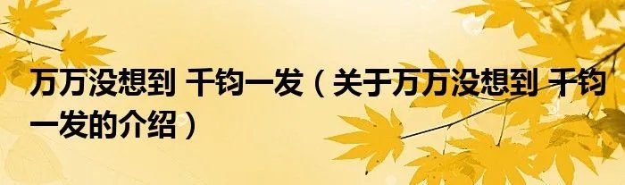 万万没想到 千钧一发（关于万万没想到 千钧一发的介绍）