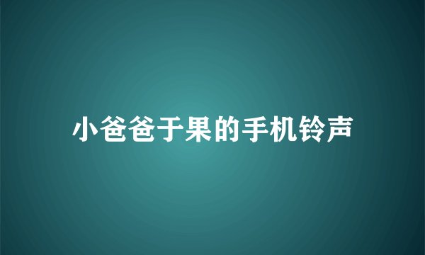 小爸爸于果的手机铃声