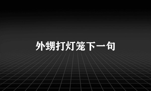 外甥打灯笼下一句