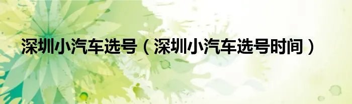 深圳小汽车选号（深圳小汽车选号时间）