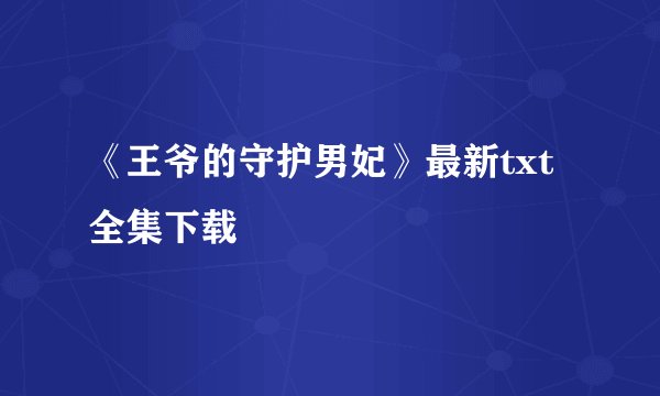 《王爷的守护男妃》最新txt全集下载