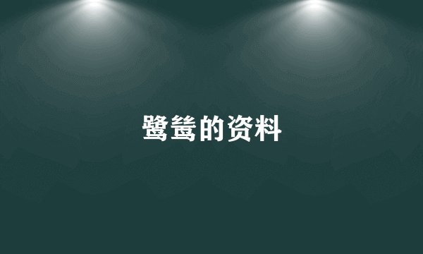鹭鸶的资料