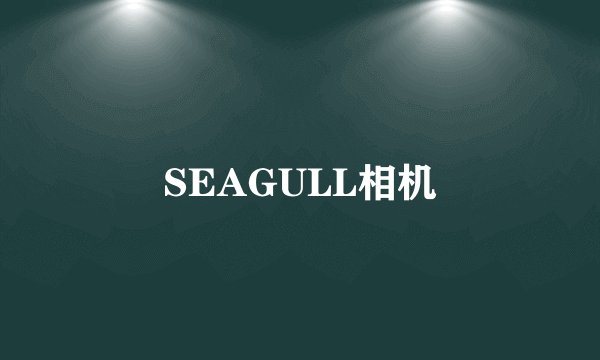 SEAGULL相机